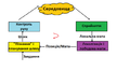 Figure 1.png